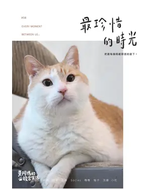 書封 黃阿瑪的後宮生活（8）：最珍惜的時光